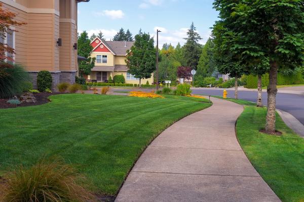 Giovine Landscaping Inc.