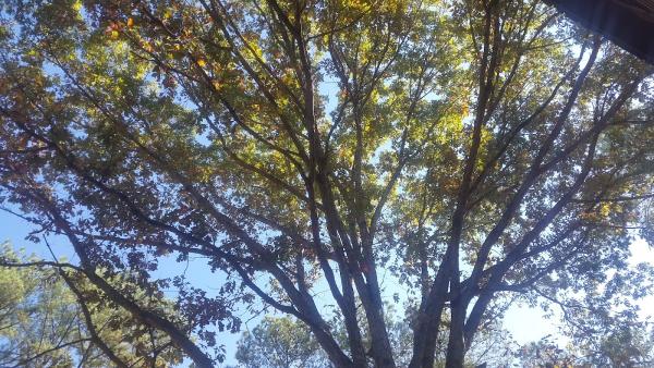 Earthworks Landscape LLC
