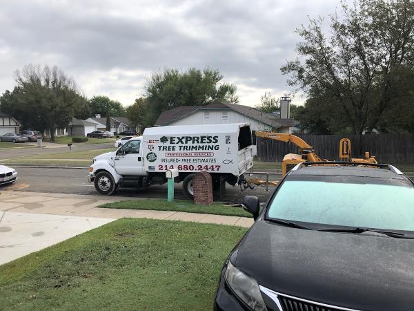 Express Tree Trimming