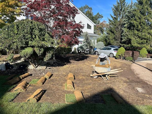 All Star Landscape & Fence