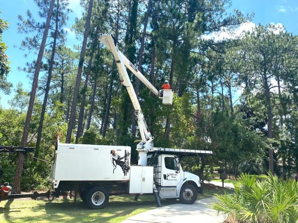 Kolcun Tree Care