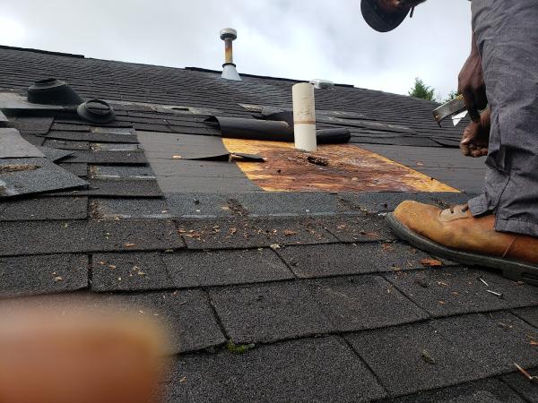 Neal-Williams Mold Remediator/General Contractor