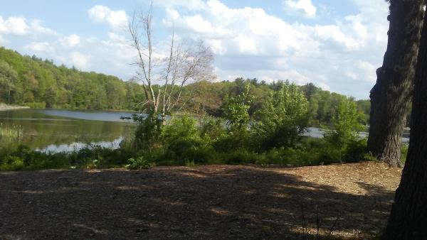 Lola's Landscape