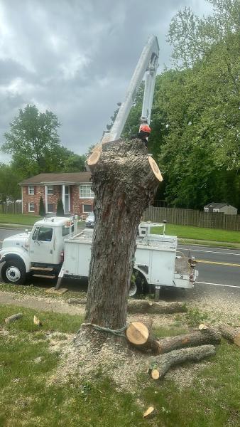 4-CO Tree Service