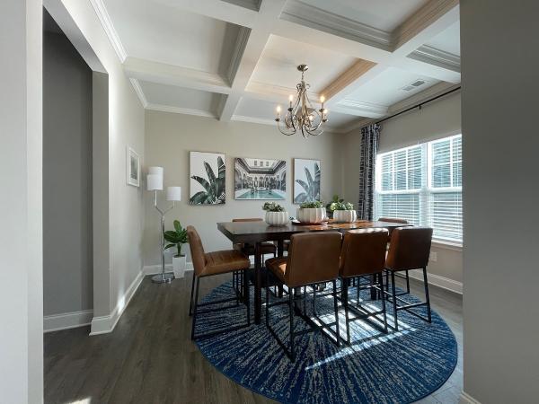 Robyn Studios Architecture & Interiors
