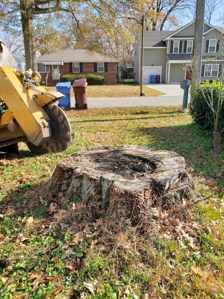 The Stump Grinders