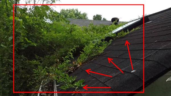 Solid Structure Home Inspection Services