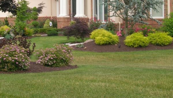 Big Beards Landscaping and Tree Service LLC