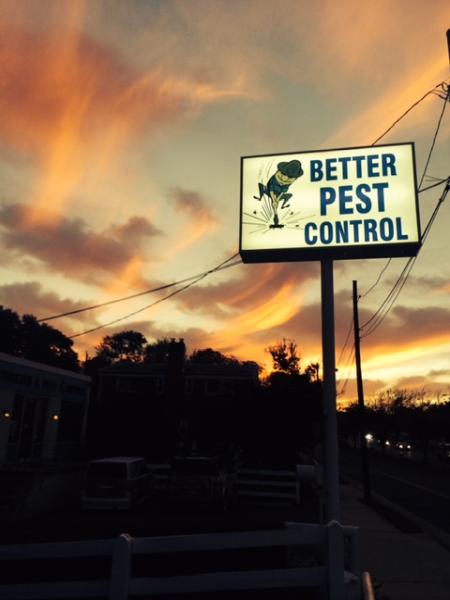 Better Termite & Pest Control