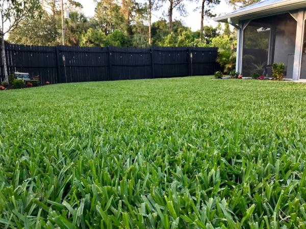 A Cut Above the Rest Lawn Maintenance Llc.
