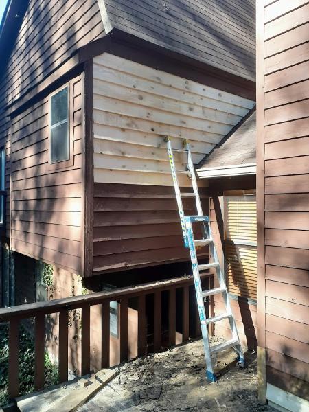 All His Painting and Remodeling