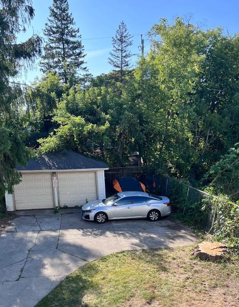 Dorshak Tree Specialists