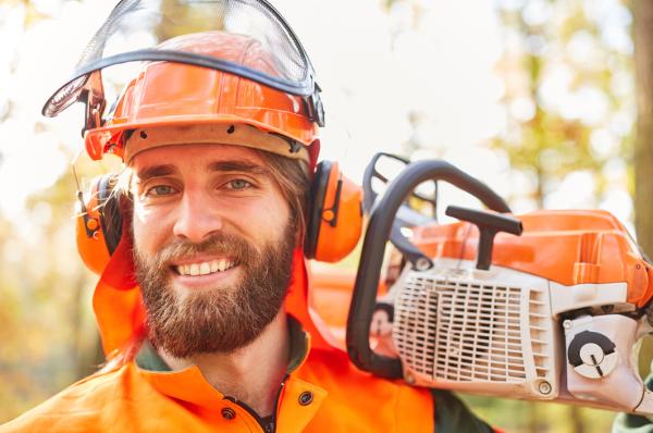 Citrus Heights Tree Service