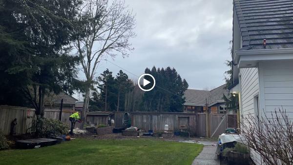 Community Arborist