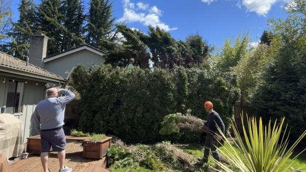 Community Arborist
