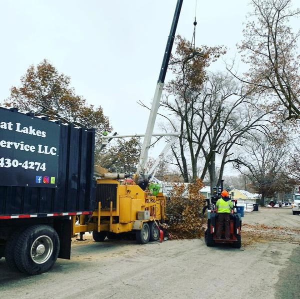 Great Lakes Tree Service