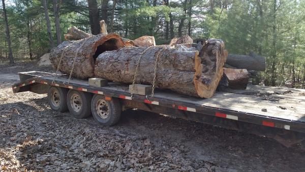 Great Lakes Tree Service