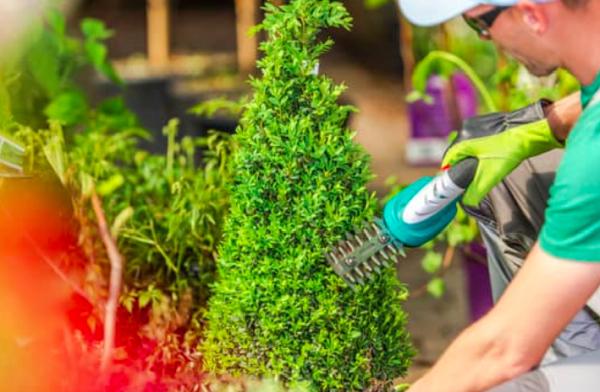 Chino Hills Pro Landscapers