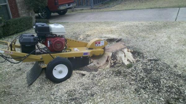 Montiel's Tree Service