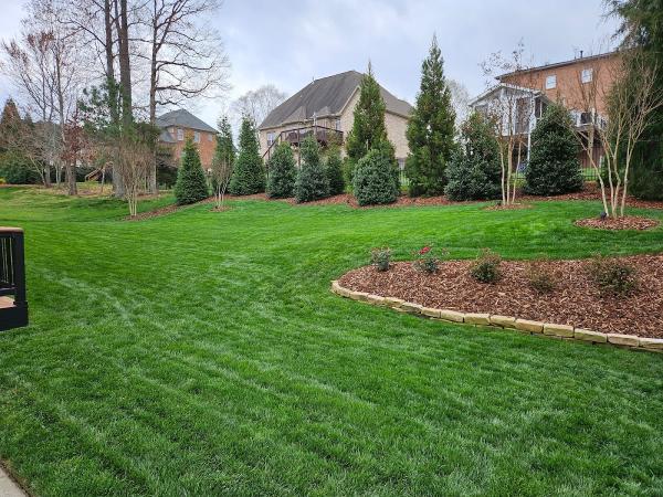 Go-Forth Lawn Care