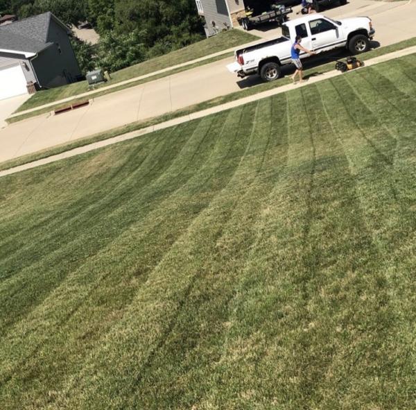 Grass Co.