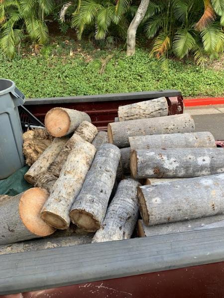 Purpose Palm and Tree Care LLC
