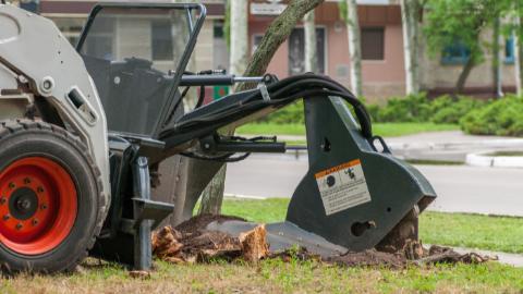 Stockbridge Tree Service