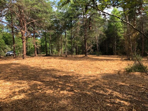 Virginia Land Clearing and Excavation