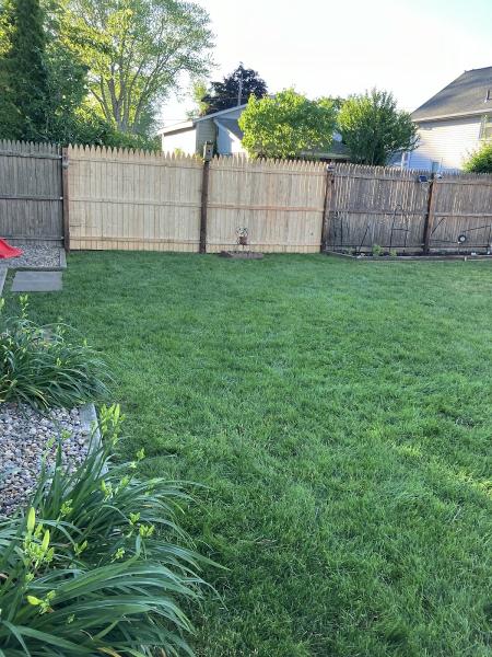 Dubon Tree Services