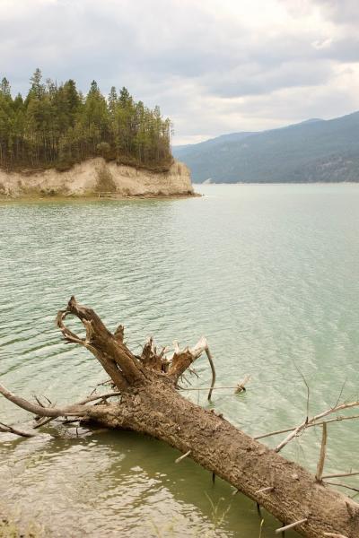 4 Lakes Tree Service