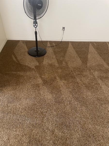Benicia Carpet Cleaning