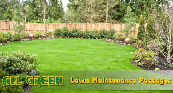 All Green Lawn & Tree Care Inc