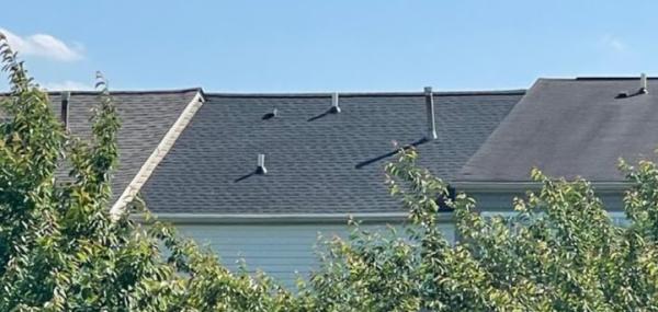 Elmer's Roofing