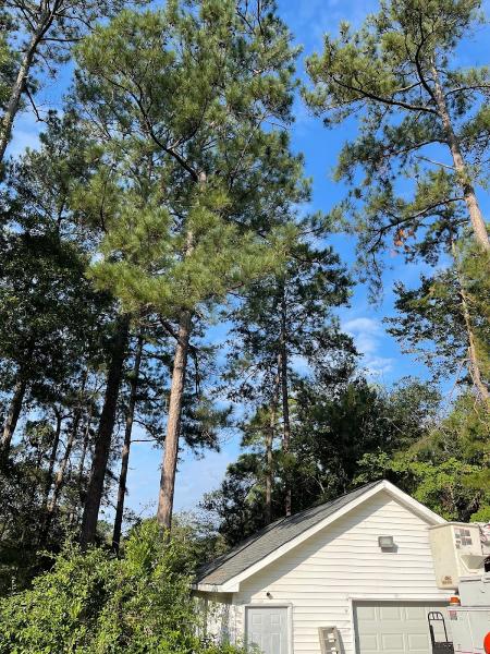 Kirby's Tree Care LLC