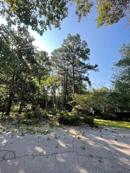 Kirby's Tree Care LLC
