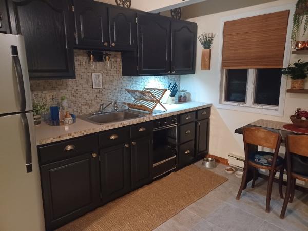 Painting Plus Co. Cabinet Painters