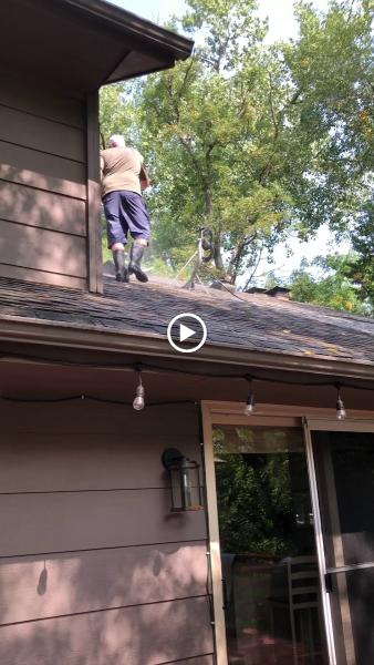 Curated Exterior Cleaning