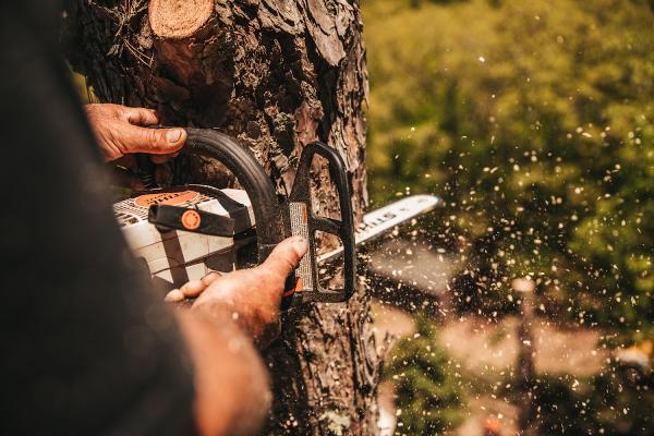 K3 Tree Care