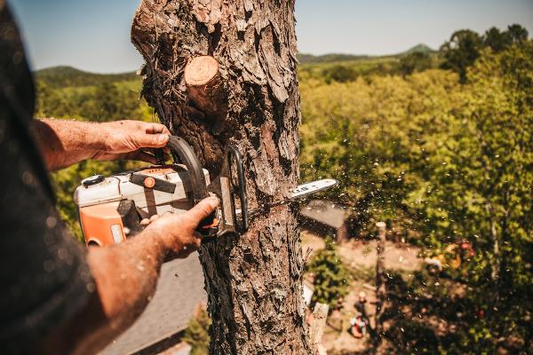 K3 Tree Care