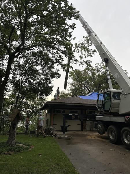 K3 Tree Care