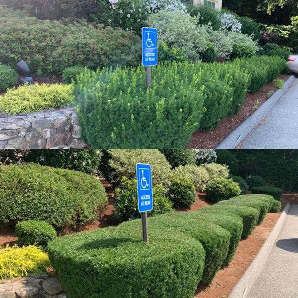 Smart Landscaping
