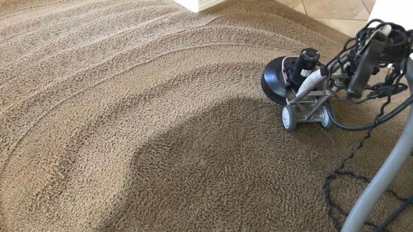 LS Upstate Carpet Cleaning