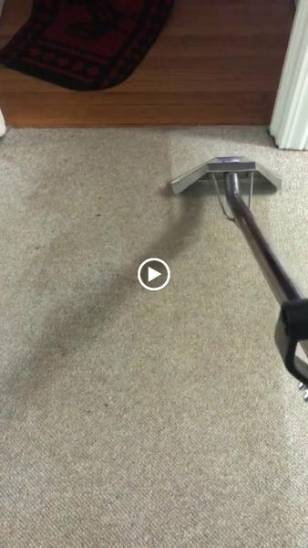 LS Upstate Carpet Cleaning