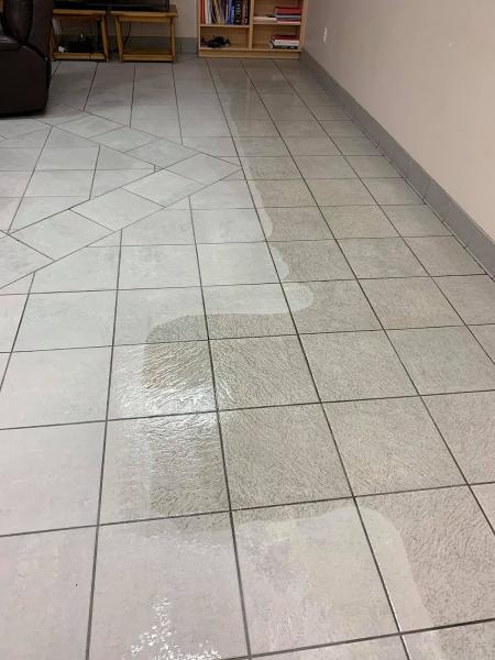 LS Upstate Carpet Cleaning