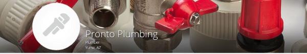 Pronto Plumbing Services