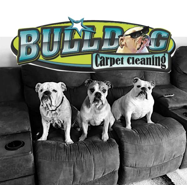 Bulldog Carpet Cleaning