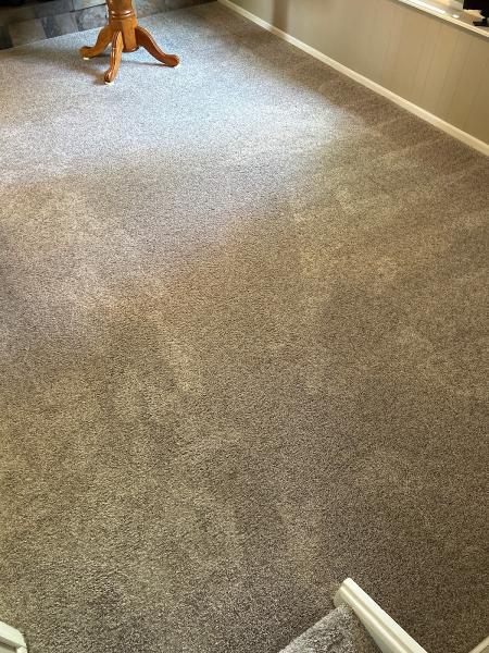 Bulldog Carpet Cleaning