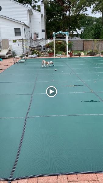 Majestic Pool Service