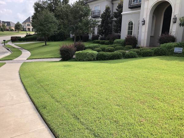 Cititurf