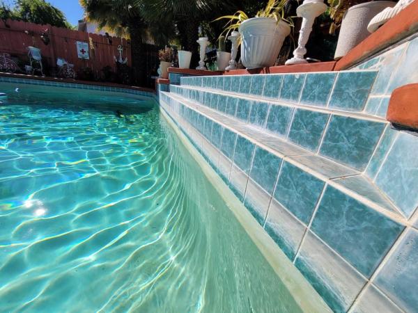 Swim So Brite